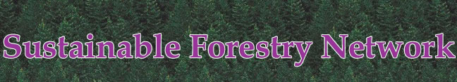Sustainable Forestry Network